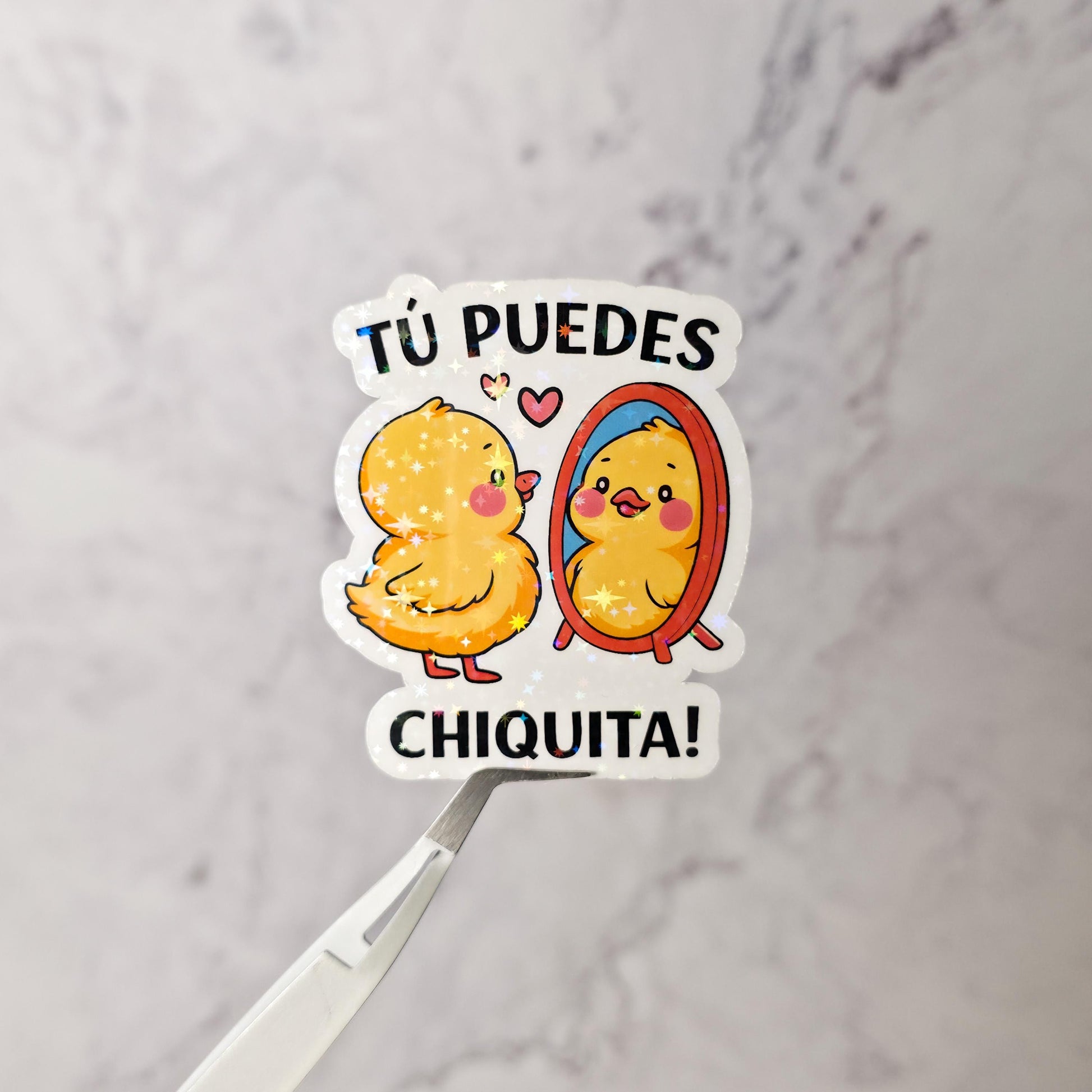 The Seguimos Aqui Bundle: Latin American Pride Holographic Stickers + Bookmarks