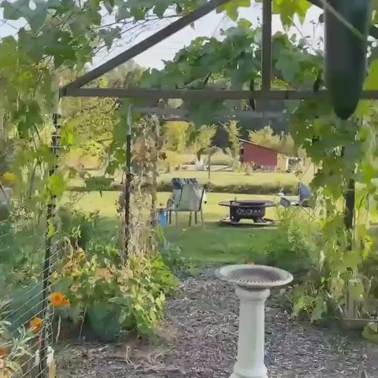 Snowman Iced Coffee Glass Cup, Festive Christmas Glass Cup with Bamboo Lid, Christmas Gift, 16oz and 20oz Holiday Beer Can