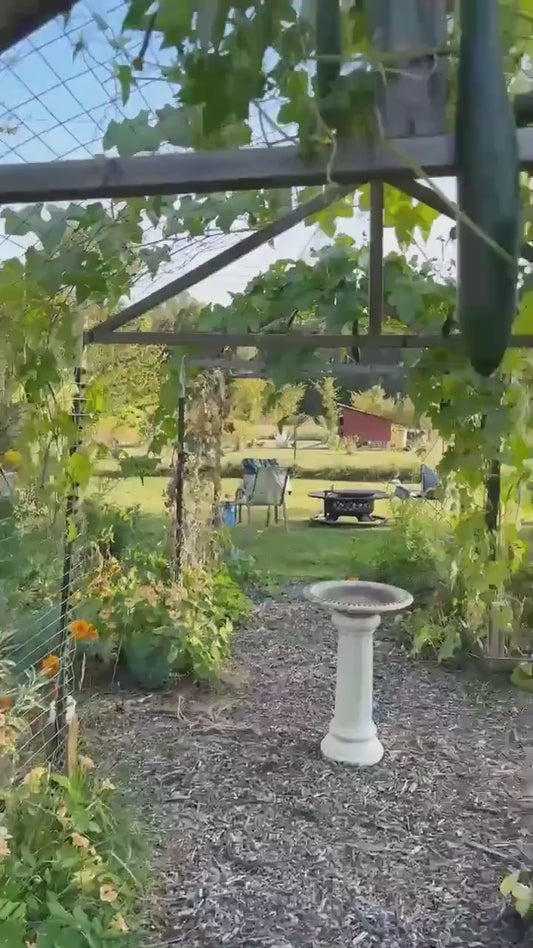 Snowman Iced Coffee Glass Cup, Festive Christmas Glass Cup with Bamboo Lid, Christmas Gift, 16oz and 20oz Holiday Beer Can